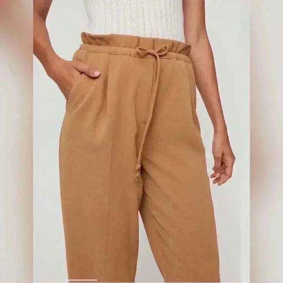 Aritzia Wilfred Kari Pants - Picture 6 of 8